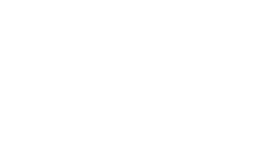 Mega Logo White